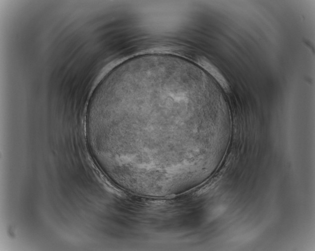 X0000097811436200804041327