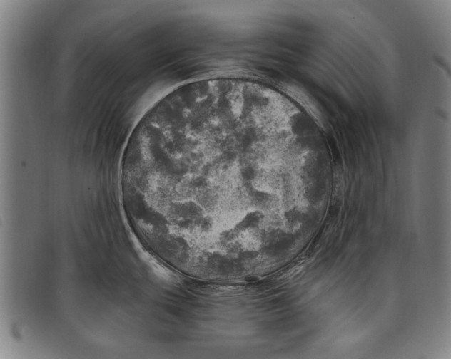 X0000097811439200804041327