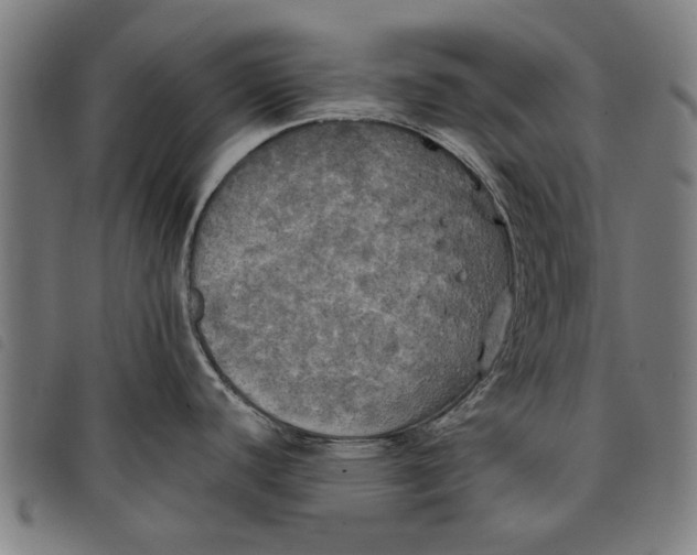 X0000097811440200804041327