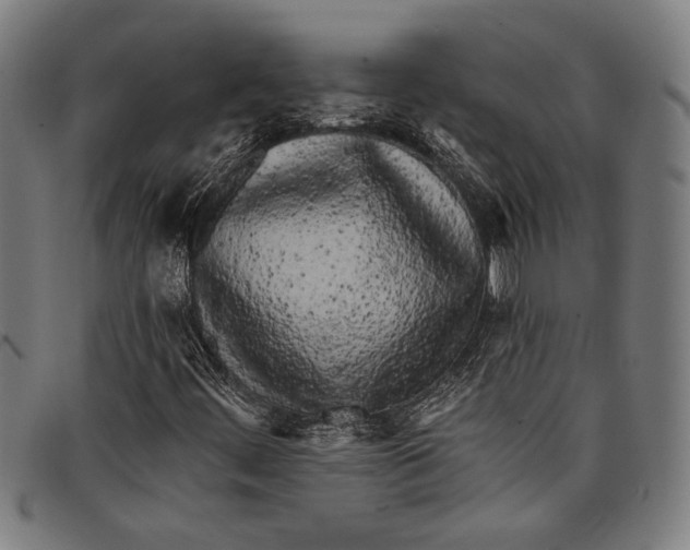 X0000097811444200804041326