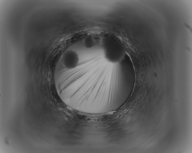 X0000097811445200804041326