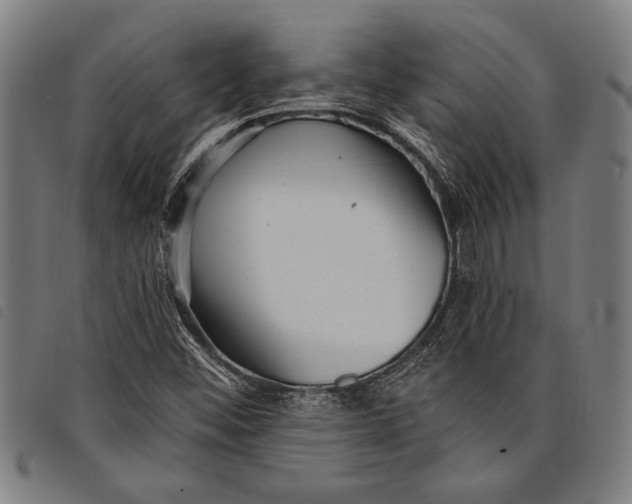 X0000097811452200804041326