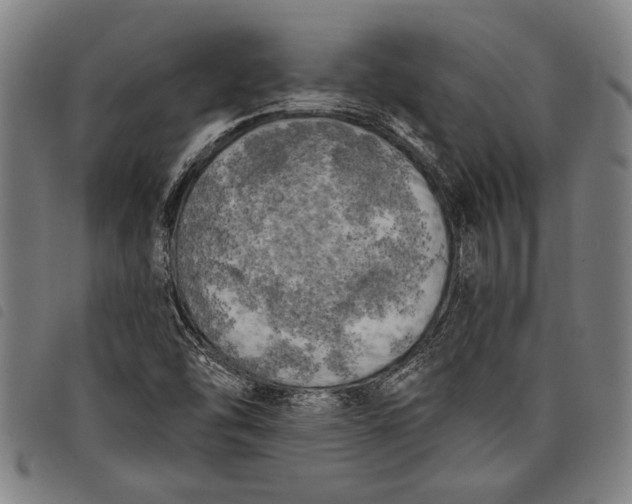 X0000097811454200804041326