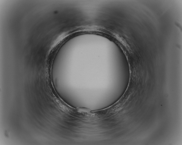 X0000097811456200804041326