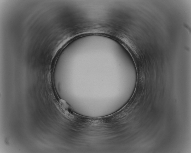 X0000097811460200804041326