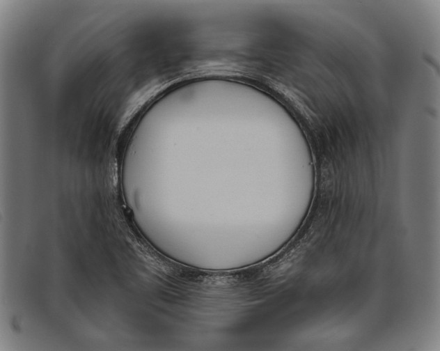 X0000097811461200804041326