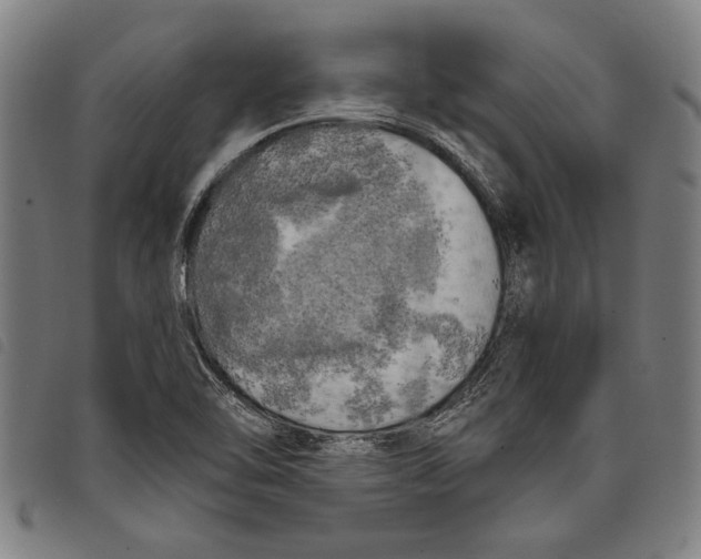 X0000097811462200804041326