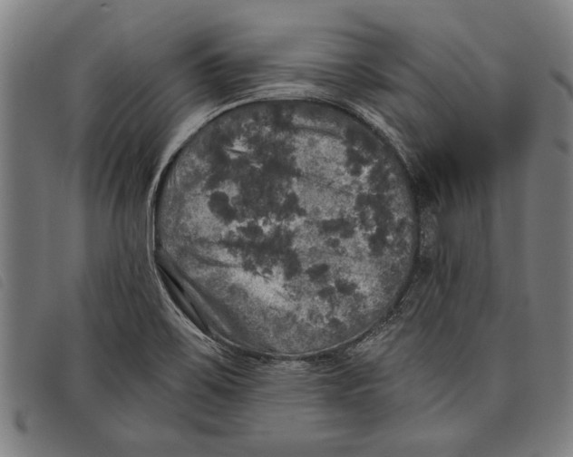 X0000097811467200804041326