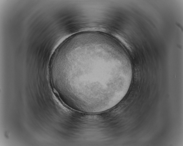 X0000097811468200804041326