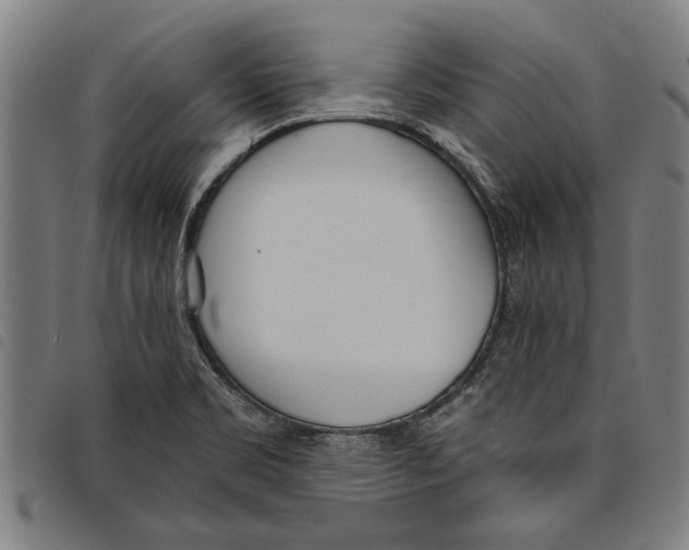 X0000097811469200804041326