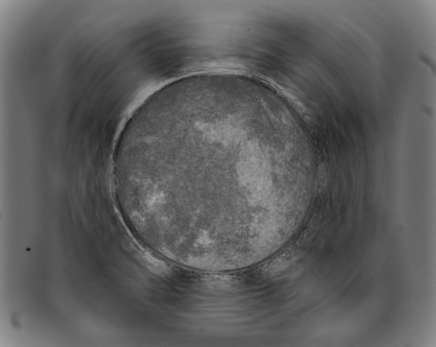 X0000097811470200804041325