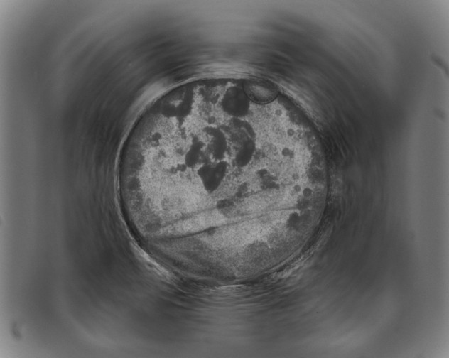 X0000097811471200804041325