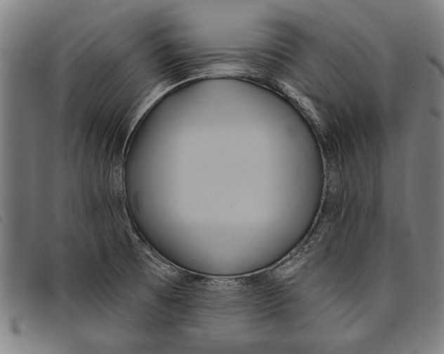 X0000097811473200804041325