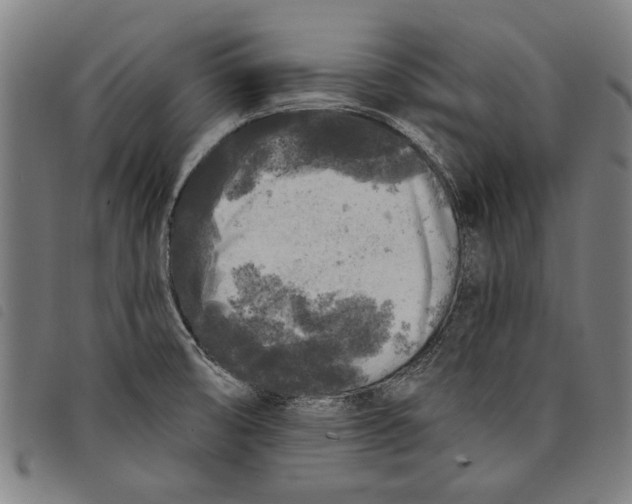 X0000097811474200804041325