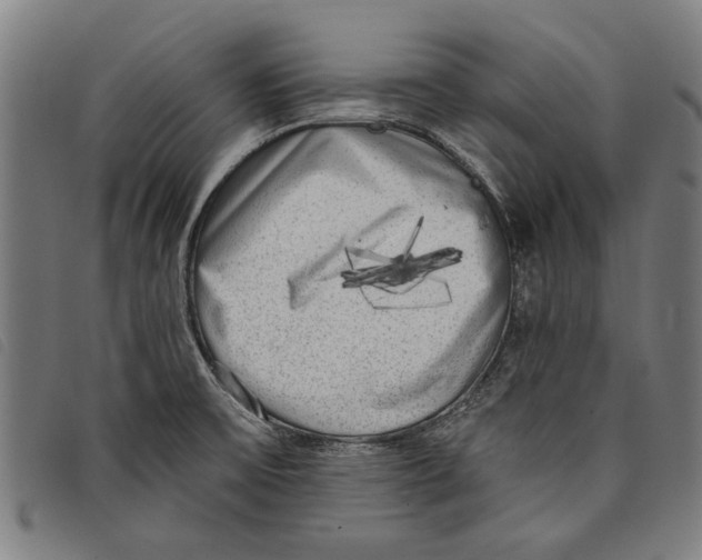 X0000097811475200804041325