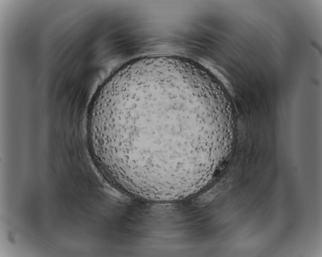 X0000097811477200804041325