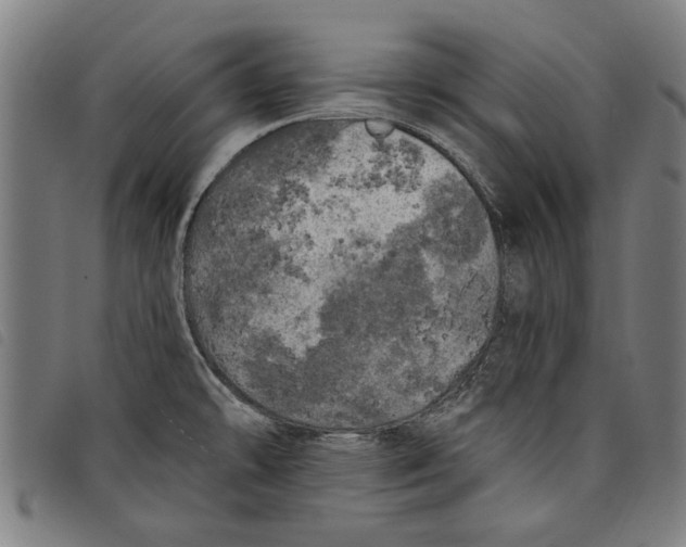 X0000097811478200804041325