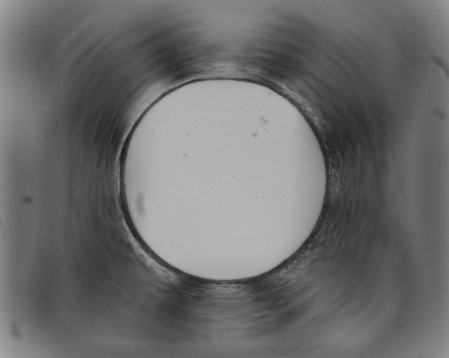 X0000097811479200804041325