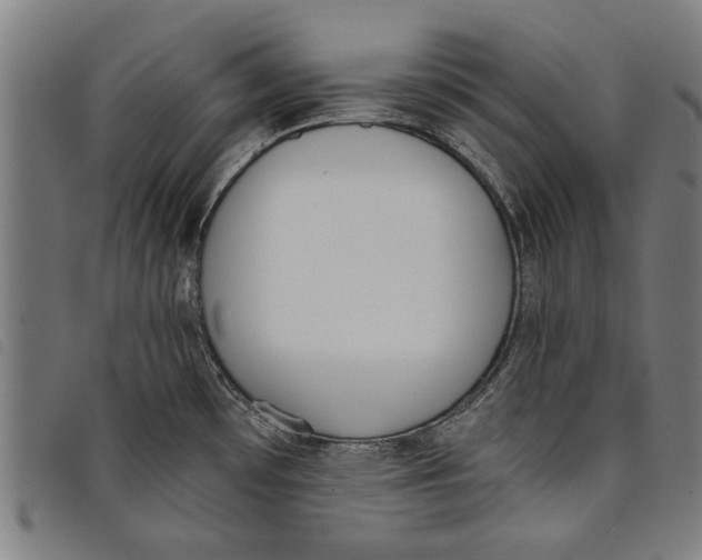 X0000097811481200804041325