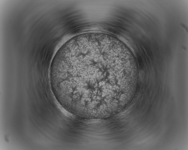 X0000097811482200804041325