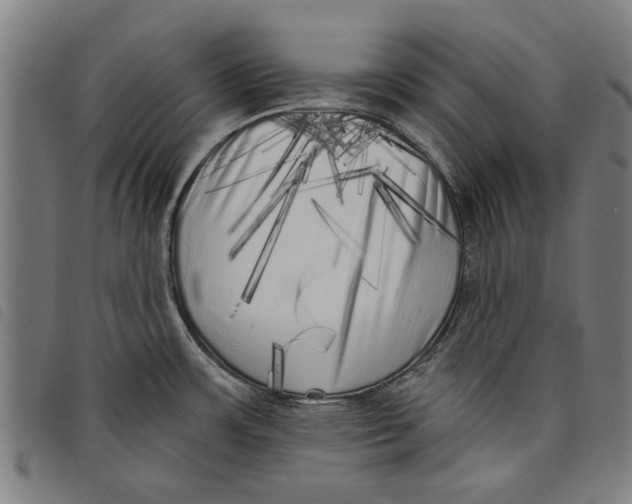 X0000097811483200804041325