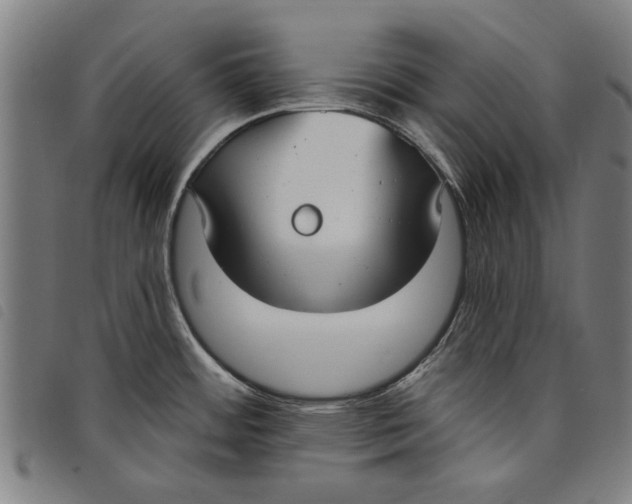 X0000097811484200804041325