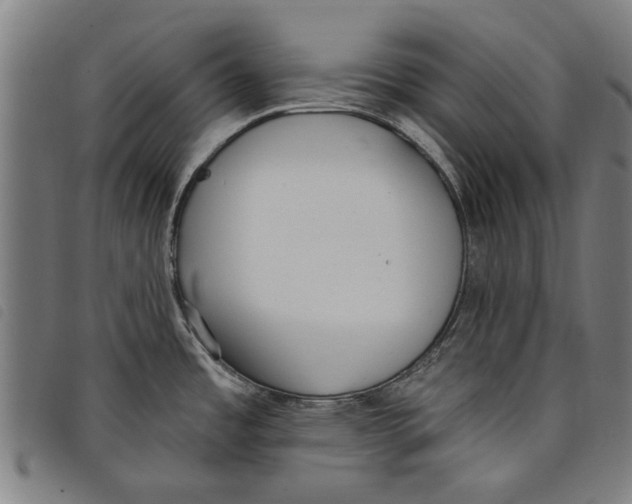 X0000097811485200804041325