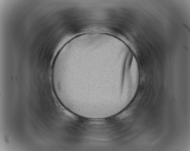 X0000097811486200804041325