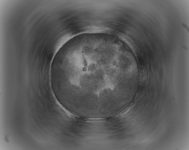 X0000097811487200804041325