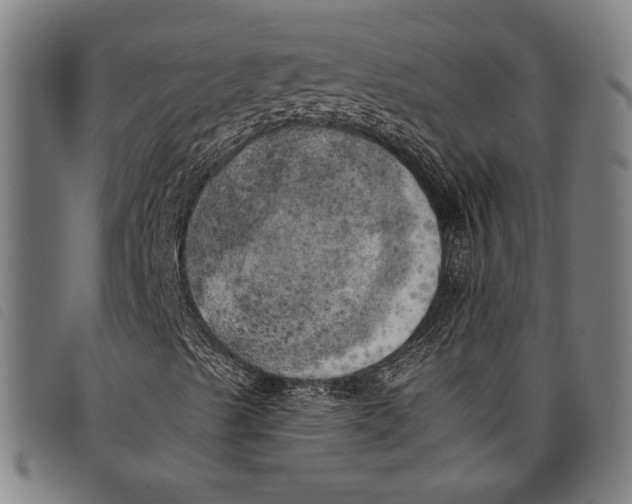 X0000097811489200804041325