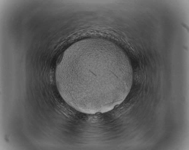 X0000097811490200804041325