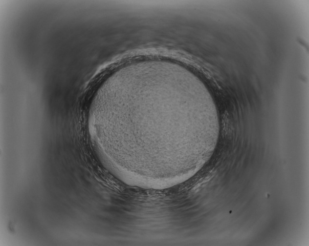 X0000097811494200804041325