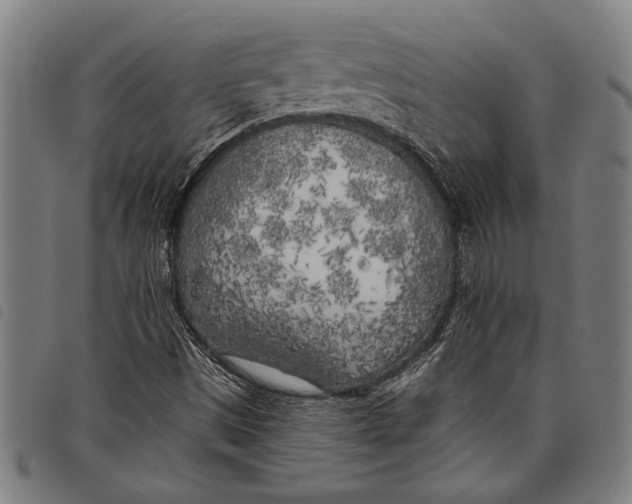 X0000097811497200804041325