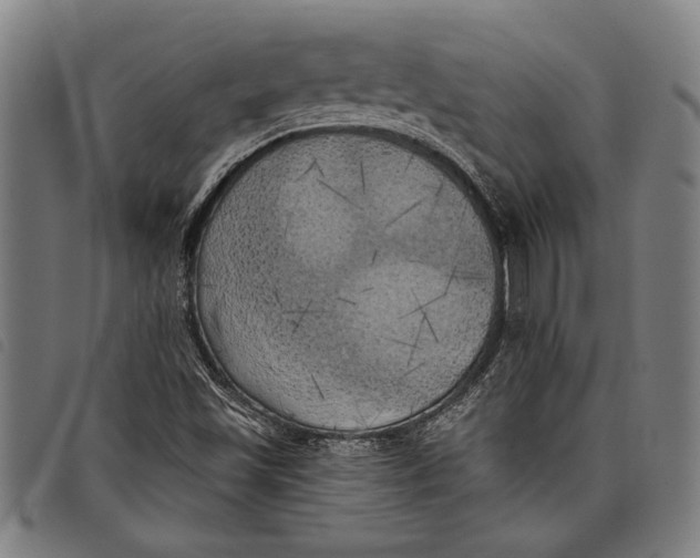 X0000097811501200804041325