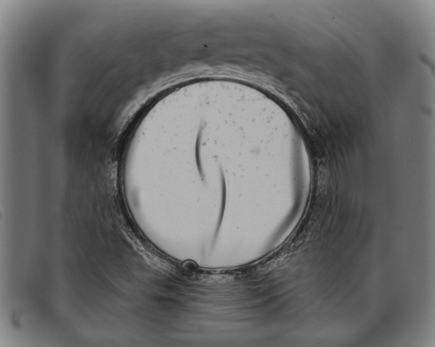 X0000097811503200804041325