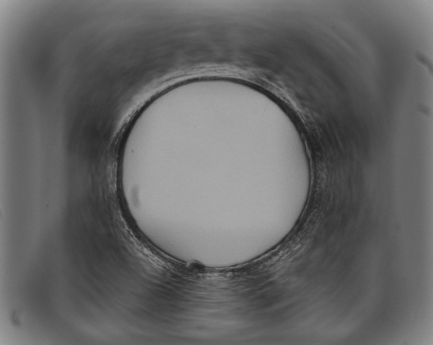 X0000097811504200804041325