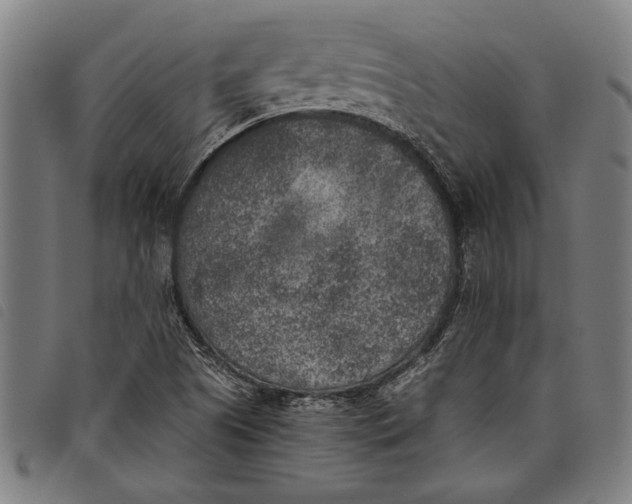 X0000097811505200804041325