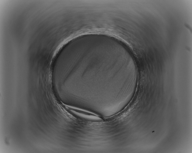 X0000097811506200804041325