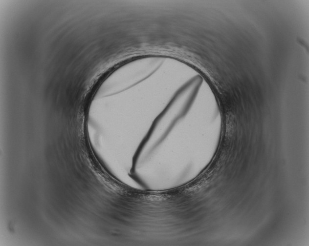 X0000097811507200804041325