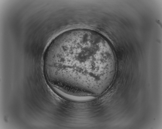 X0000097811508200804041325