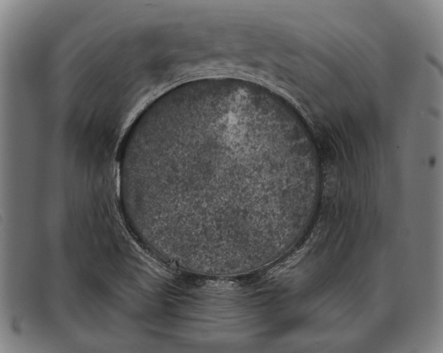 X0000097811509200804041325