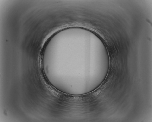 X0000097811510200804041325