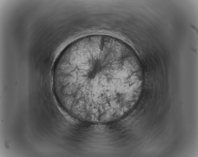 X0000097811511200804041325