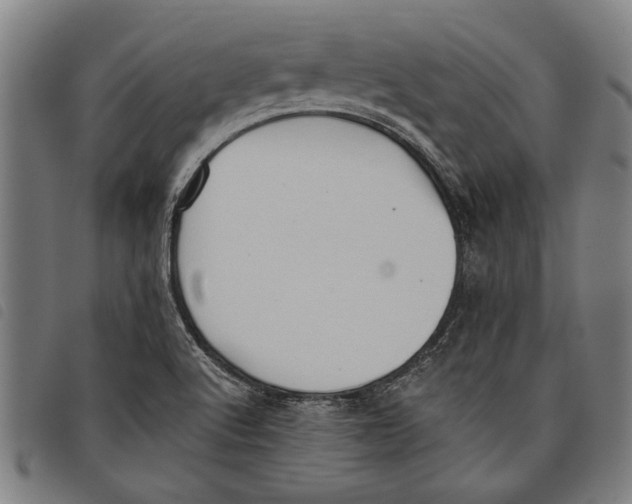 X0000097811512200804041325