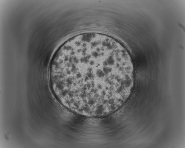 X0000097811514200804041325