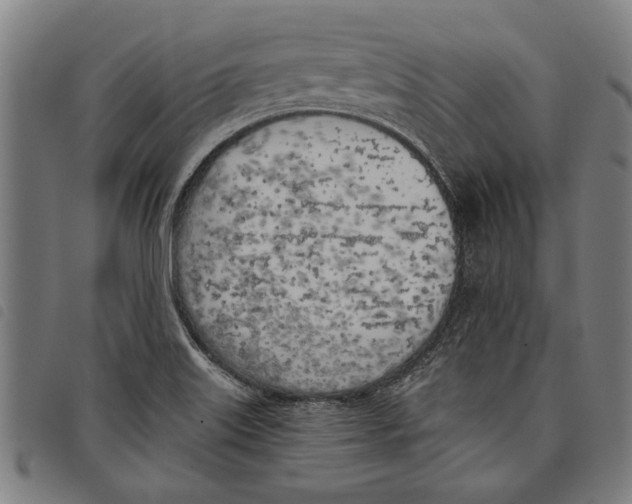 X0000097811515200804041325