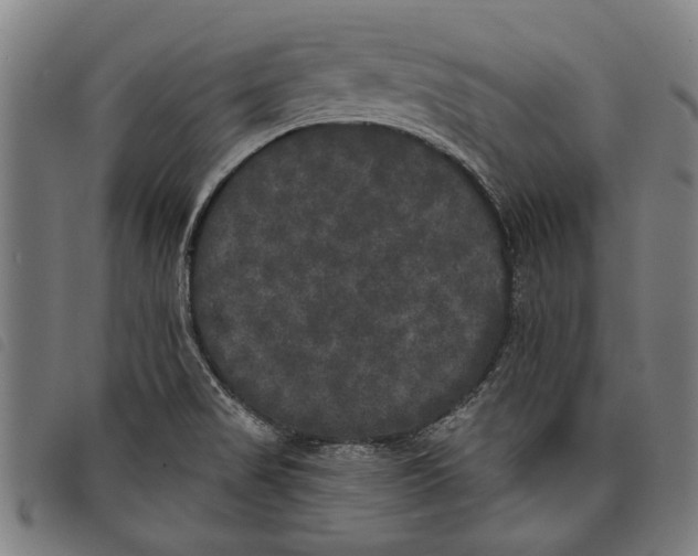 X0000097811517200804041325