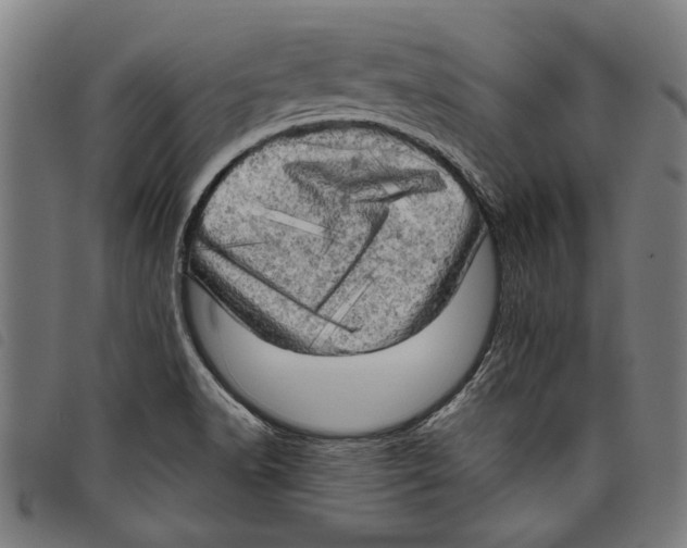 X0000097811518200804041325