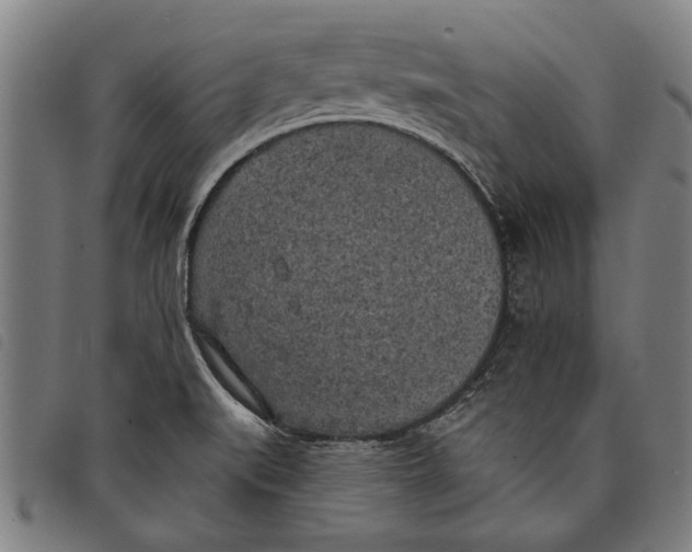 X0000097811519200804041325