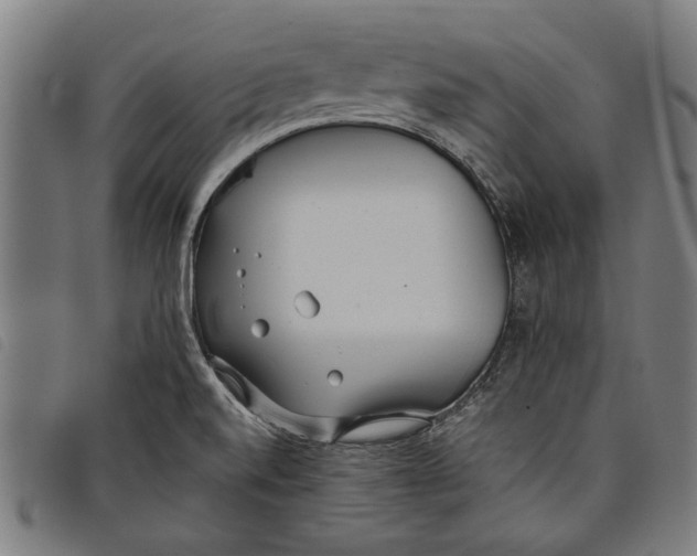 X0000097811520200804041325